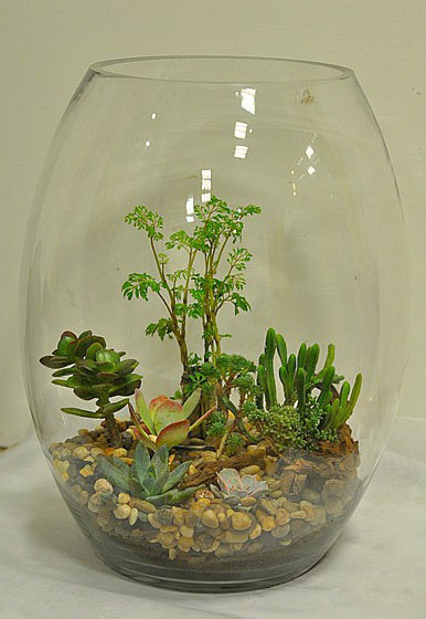 2017060414232914965574093027.jpg 2017060414232914965574093027.jpg