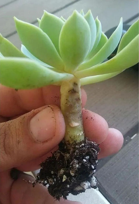 2023010916732354781137583845.jpg 6后.jpg